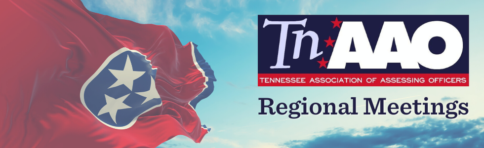 Picture of Tennessee state flag with TNAAO logo superimposed.